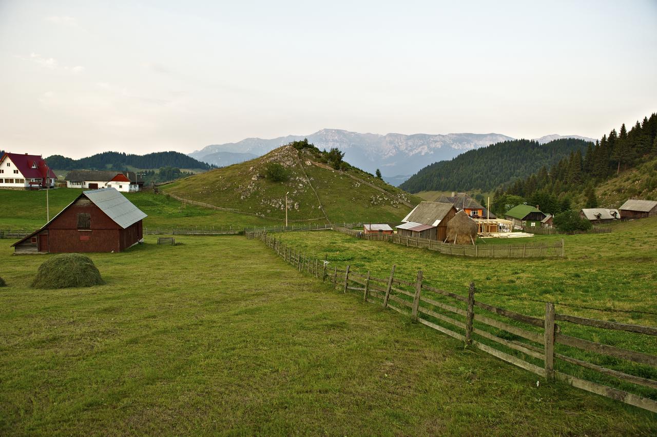 Complex Padina Ursului Фундата Экстерьер фото